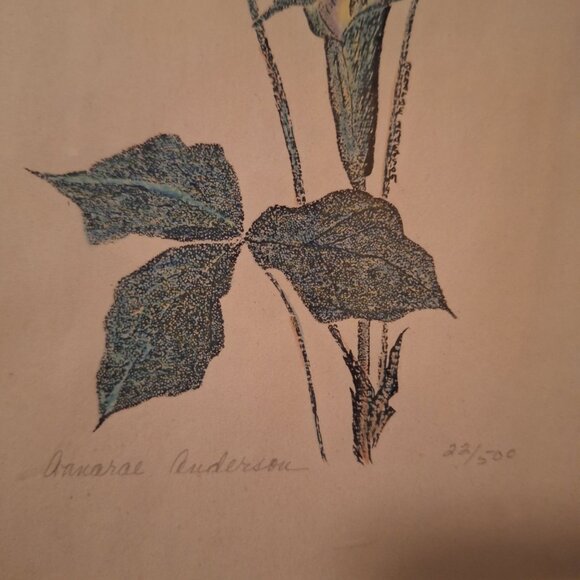 Annarae Anderson Signed Botanical Art Print Black Frame 8 x 10 Jack Pulpit Color - Picture 3 of 4